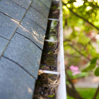 Guttering Cleaning